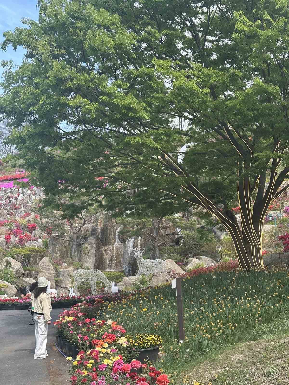 \"\"