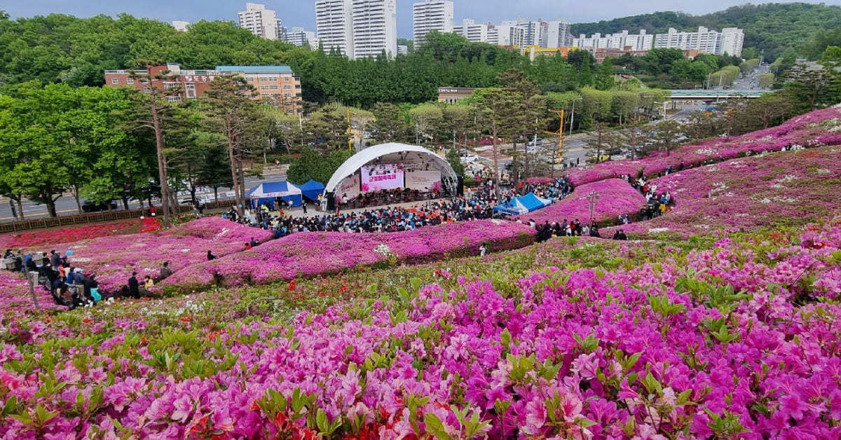 ツツジの群落