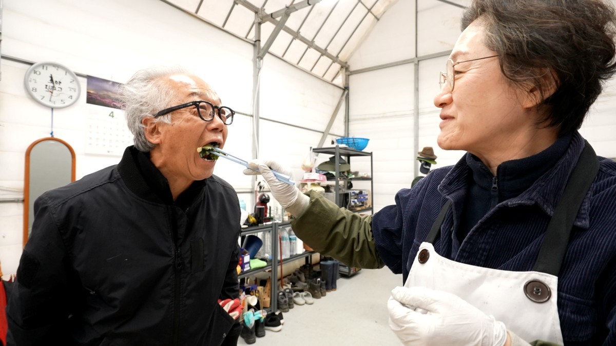 EBS1「韓国紀行」『十日で終わります、山ニンニク』編の資料写真