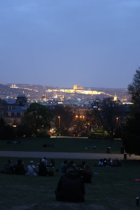 \"公園の夜景\"