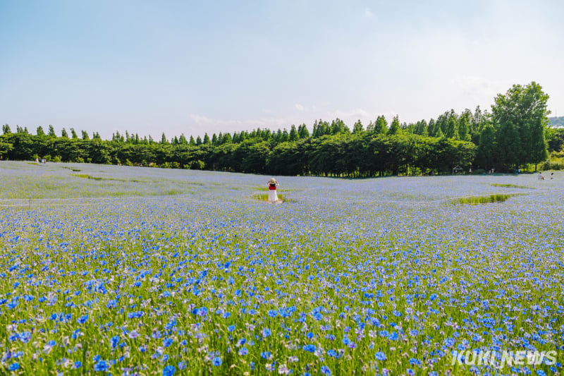 アグロランド.