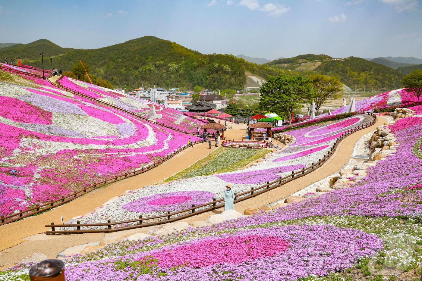 3万㎡ 花の楽園…山清「生草国際彫刻公園 芝桜祭」4月11〜20日 - ニュース1