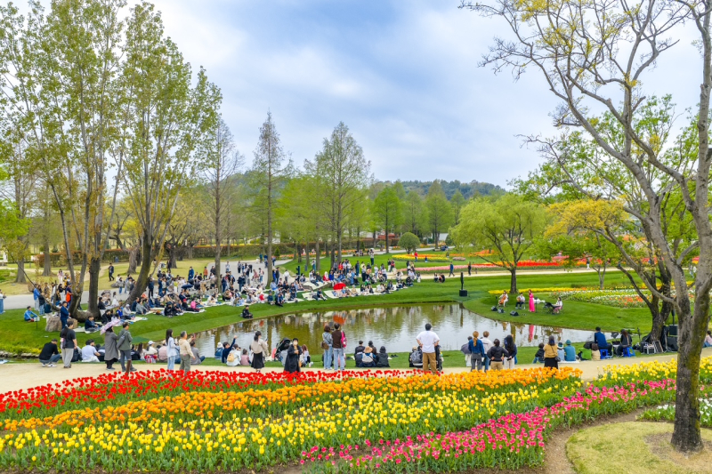 ノウル庭園で風景と公演を鑑賞する観光客たち