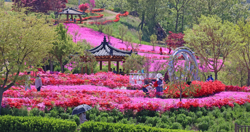 ▲ オクジョンホ ブンオソム 生態公園の全景 / インシル郡 提供