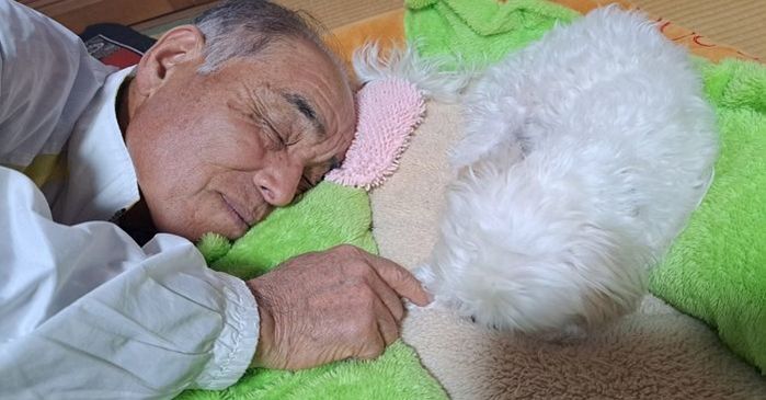 \"アニマルプラネット\"