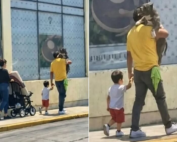 애니멀플래닛