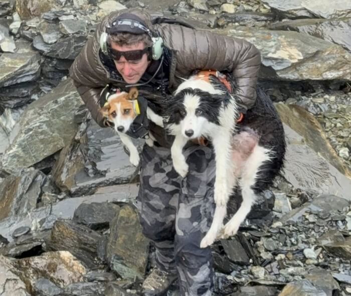 アニマルプラネット