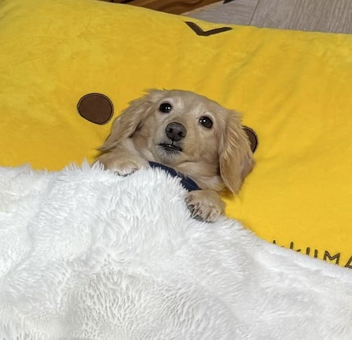 애니멀플래닛