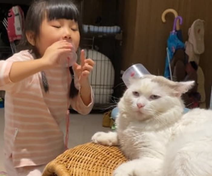 アニマルプラネット
