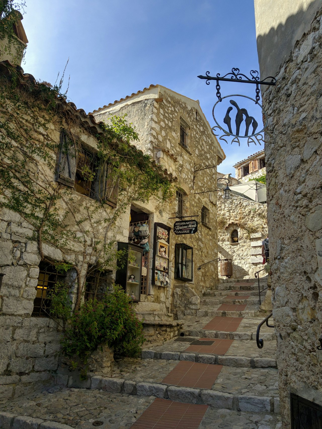 Mediterranean
