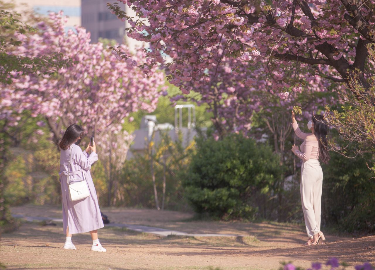 \"ボラメ公園