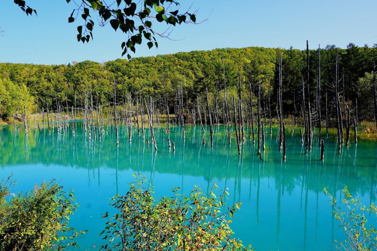 Sapporo summer travel / Photo: Visit Hokkaido