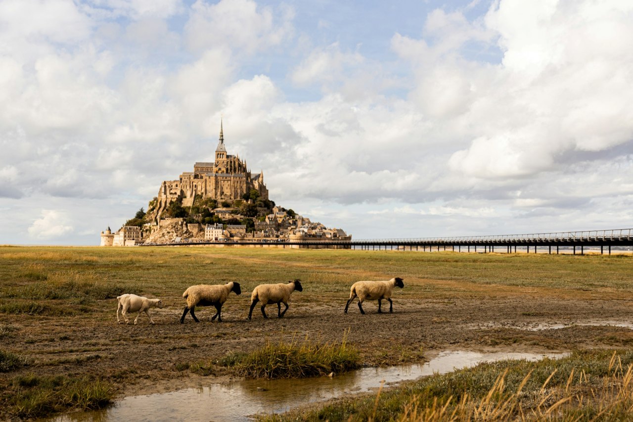 Mont