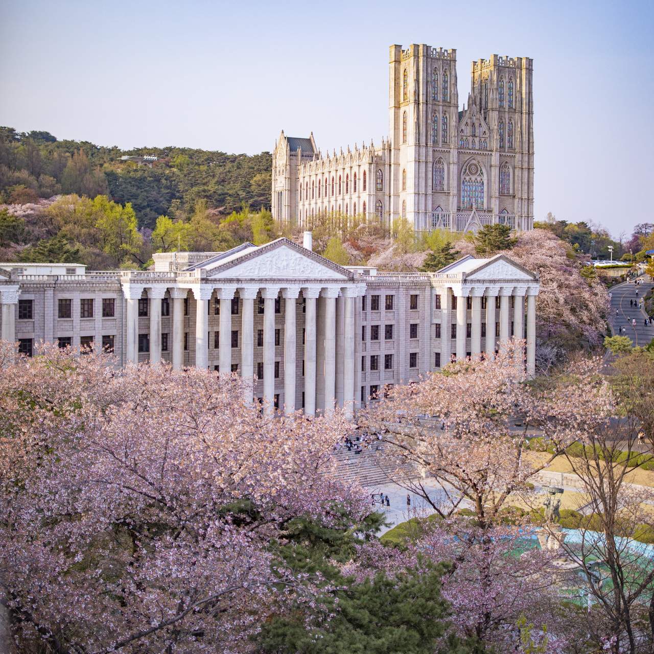 \"慶熙大学
