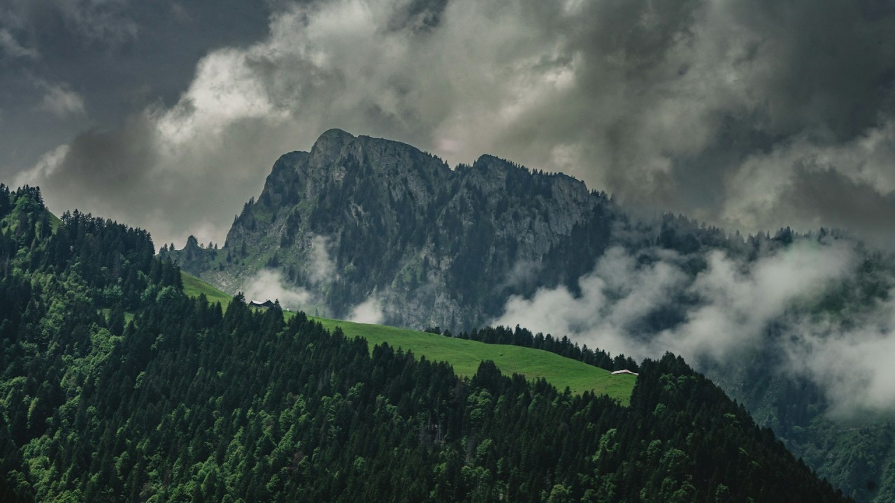 インターラーケン旅行 / 写真=unsplash@Mohammad Bahadori