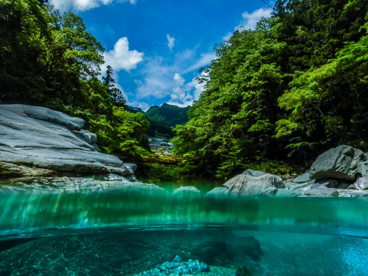 \"写真=徳島観光\"