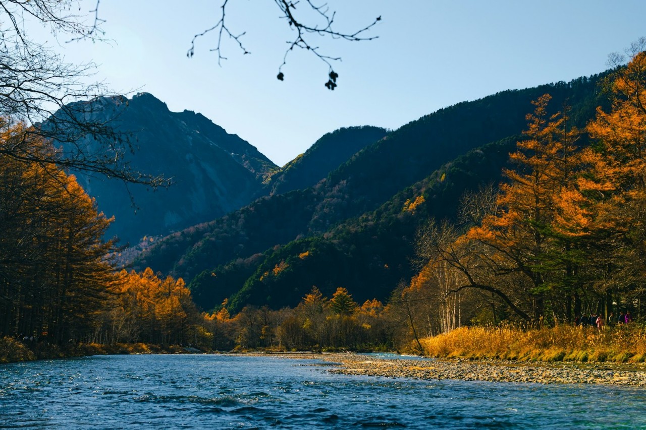 紅葉の頂点
