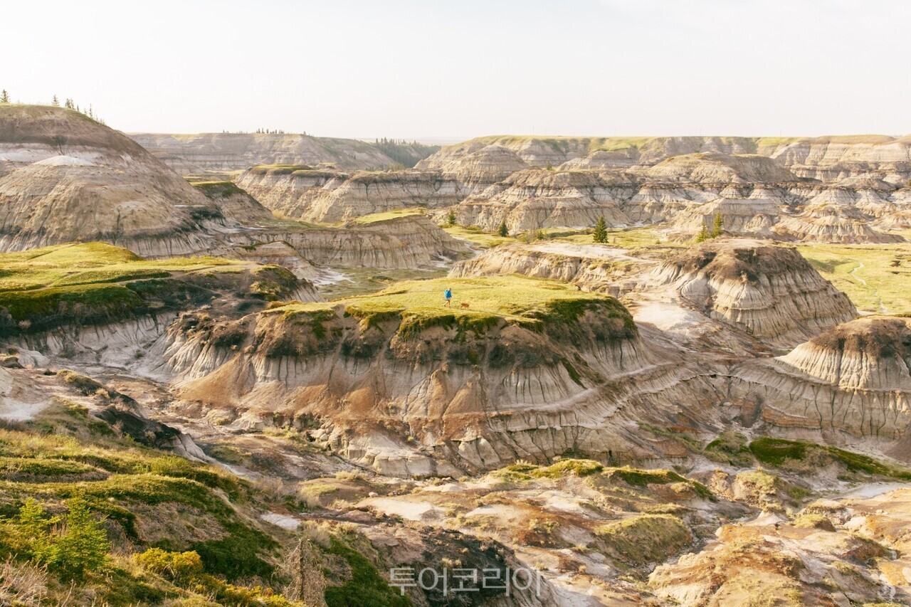 Badlands