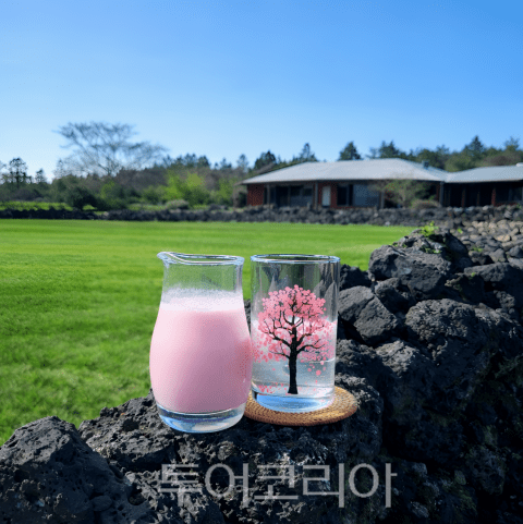 제주