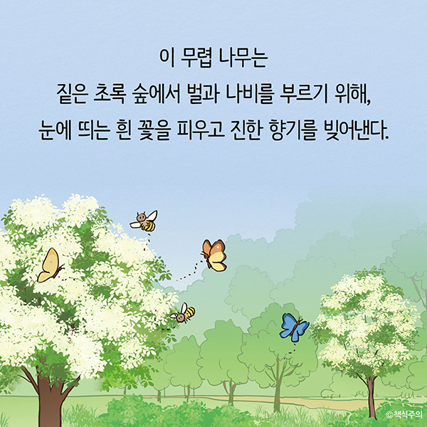 \"\"