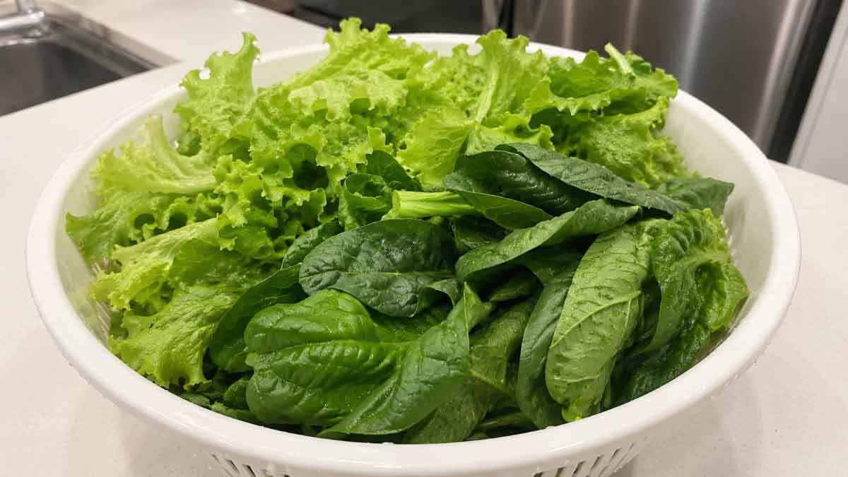 蘇った野菜。AI生成画像