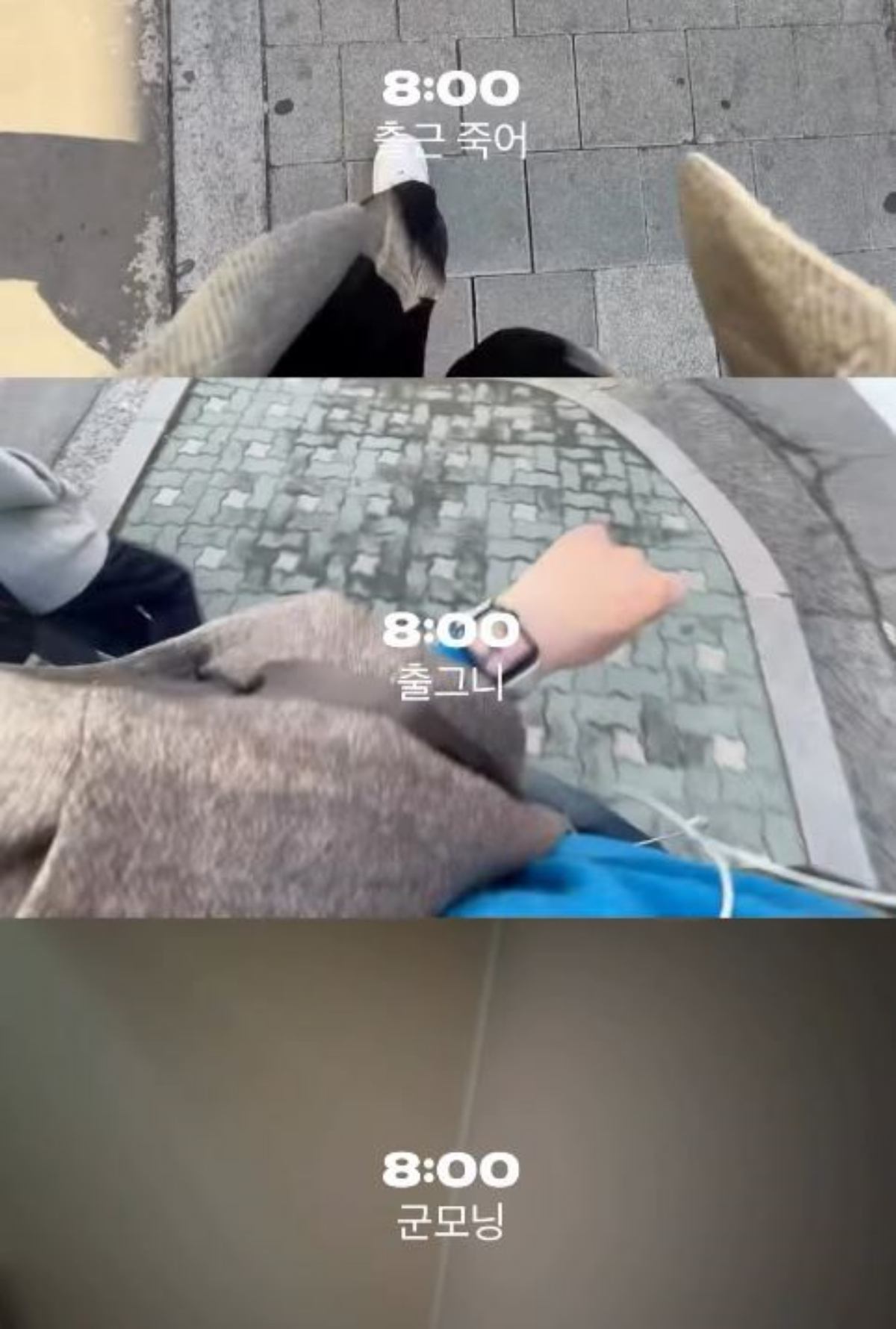 \"셋로그のキャプチャ\"