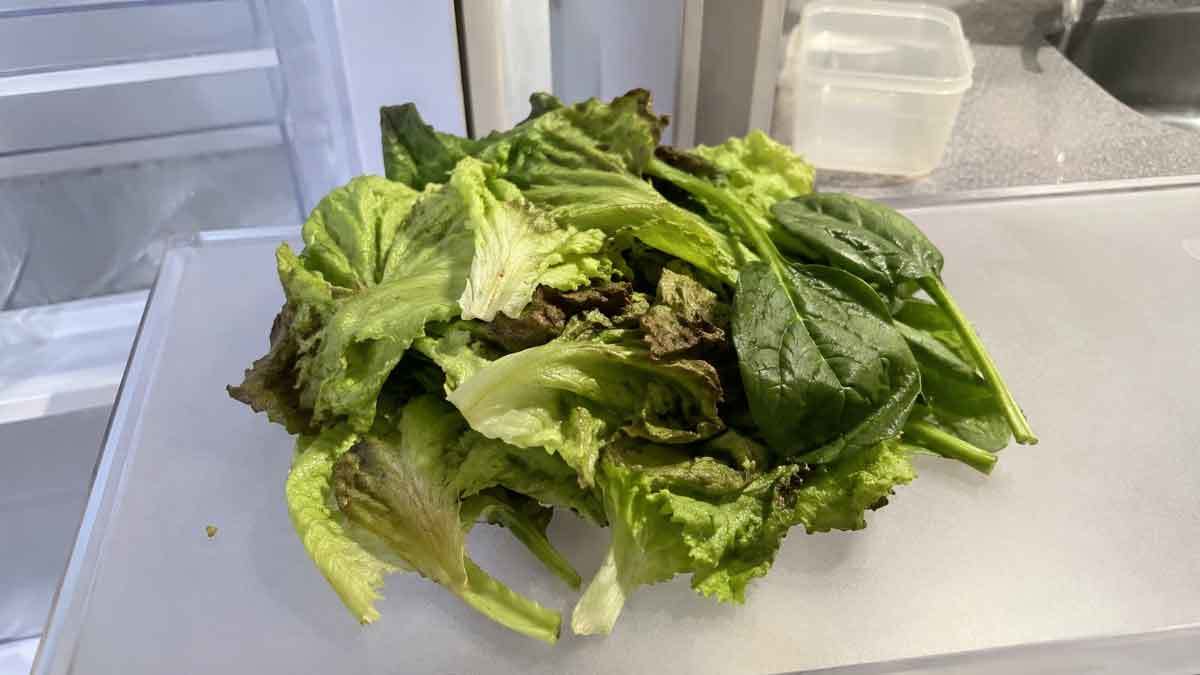 しおれた野菜。AI生成画像