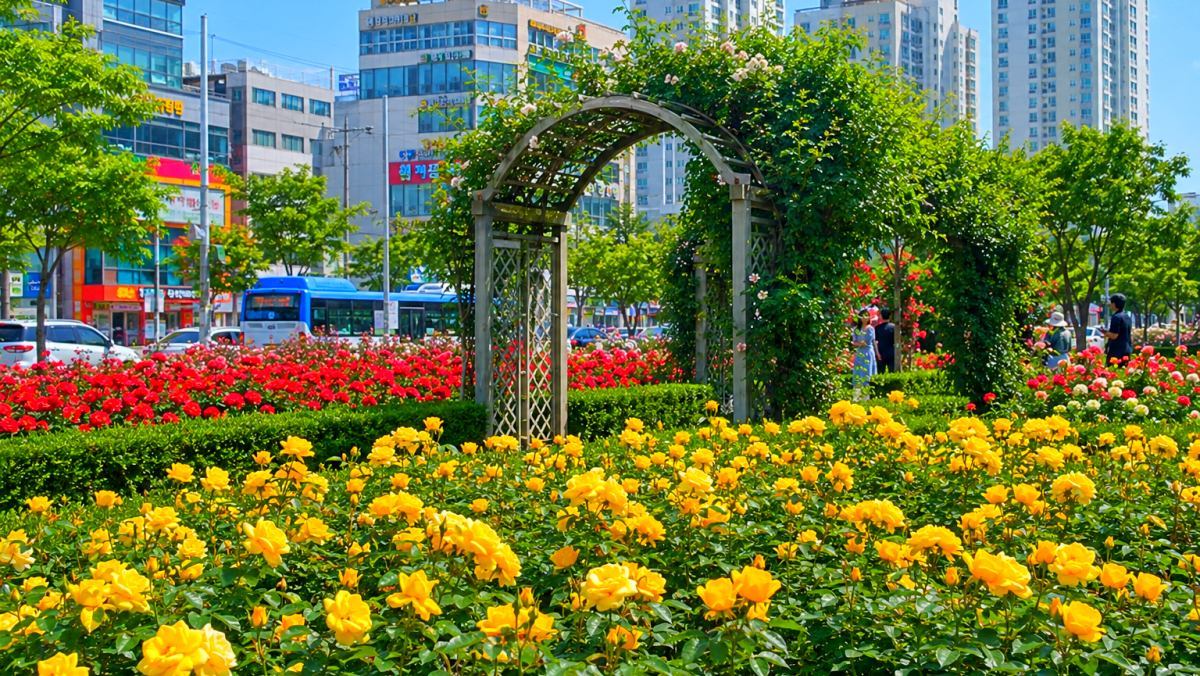 英日大バラ園の花々