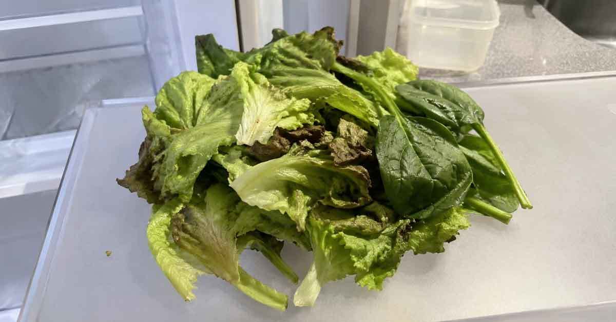 しおれた野菜。AI生成画像