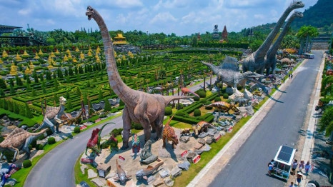 ノンヌット熱帯庭園の植物