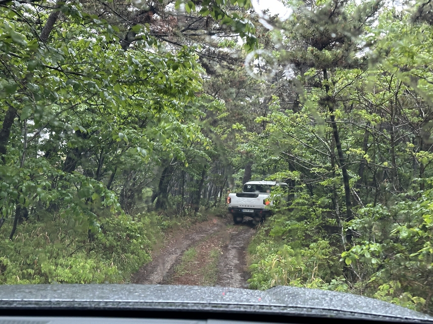 タスマンの山岳走行