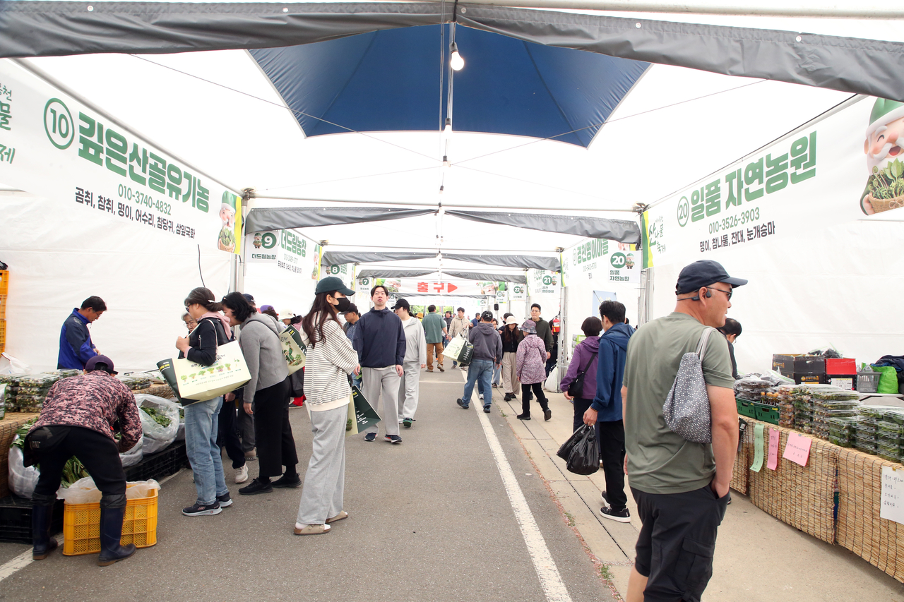 洪川山菜祭が1日トリの森で開幕した。