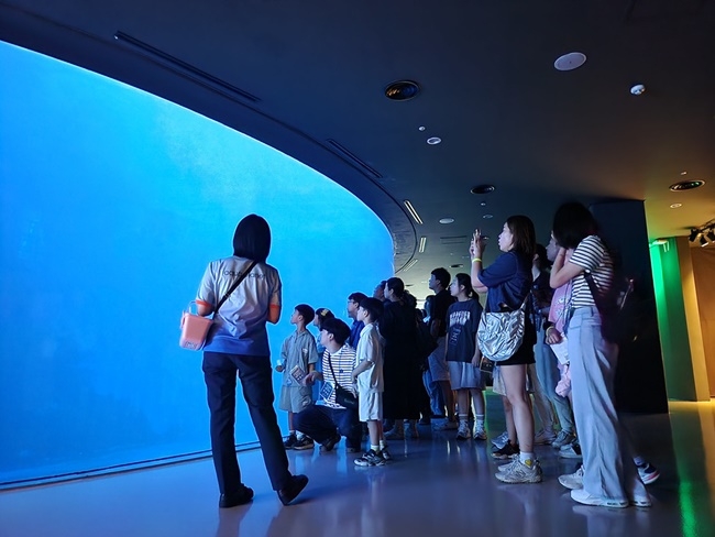 麗水アクアプラネットの夜間観光プログラム.