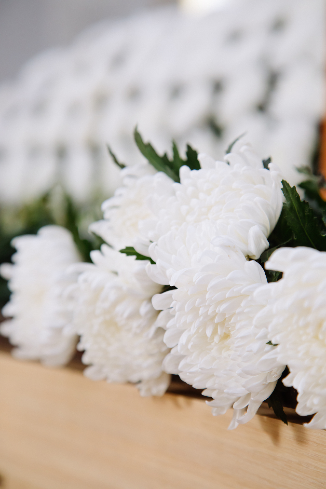 \"[ゲッティイメージバンク]\"