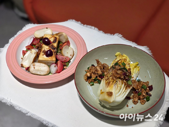 \"ミニ白菜サラダ（右）と豆腐ステーキとヨルムペスト\"