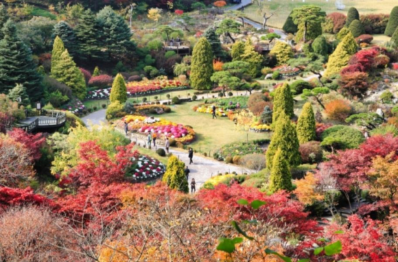 \"山林庁が水曜に全国の樹木園と庭園で多彩な文化プログラムを提供する様子。写真はアチムゴヨ樹木園。\"