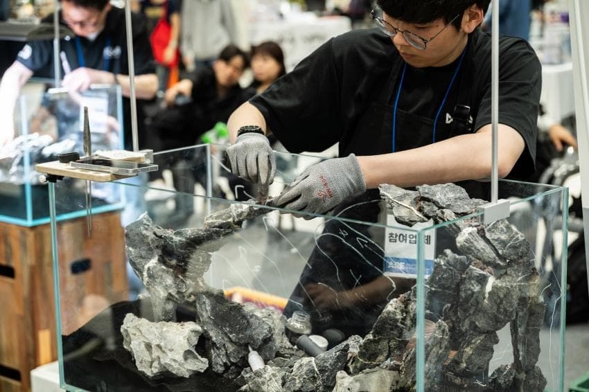 \"先月、ソウル貿易展示コンベンションセンター（SETEC）で開かれた『第3回