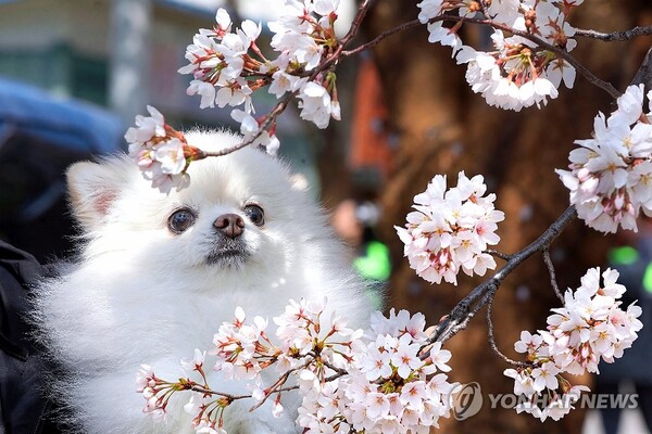 \"写真=聯合ニュース\"