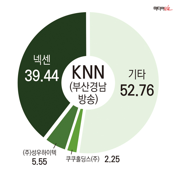 ▲ KNN 持株構成の現状。デザイン＝アン・ヘナ記者。