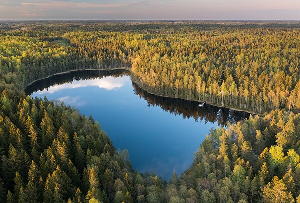 Sipoonkorpi