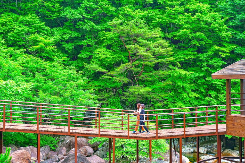 \"山清
