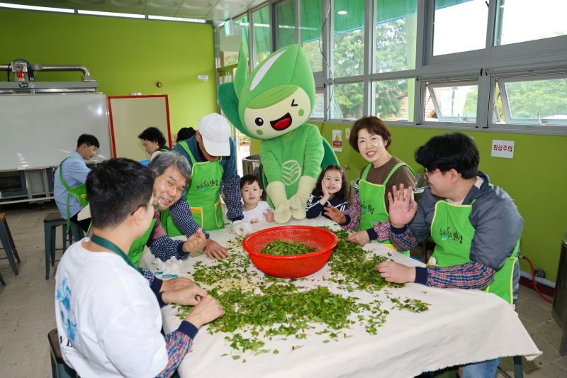 ▲ 家族向け参加プログラムが人気 - 緑茶モンと一緒にお茶を焙煎してみよう / ボソン郡提供
