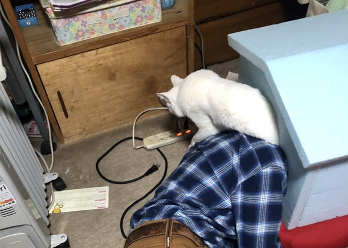 アニマルプラネット