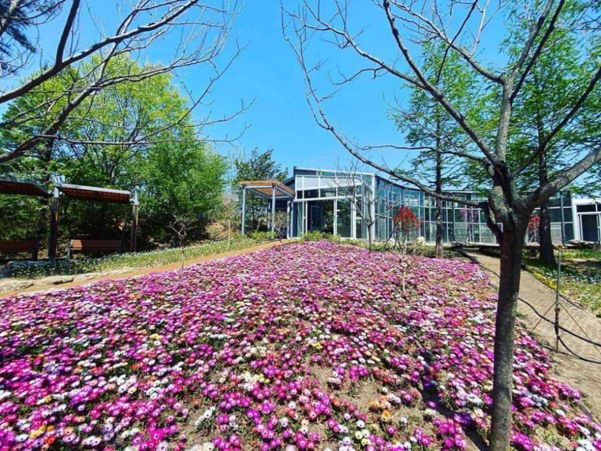설악산