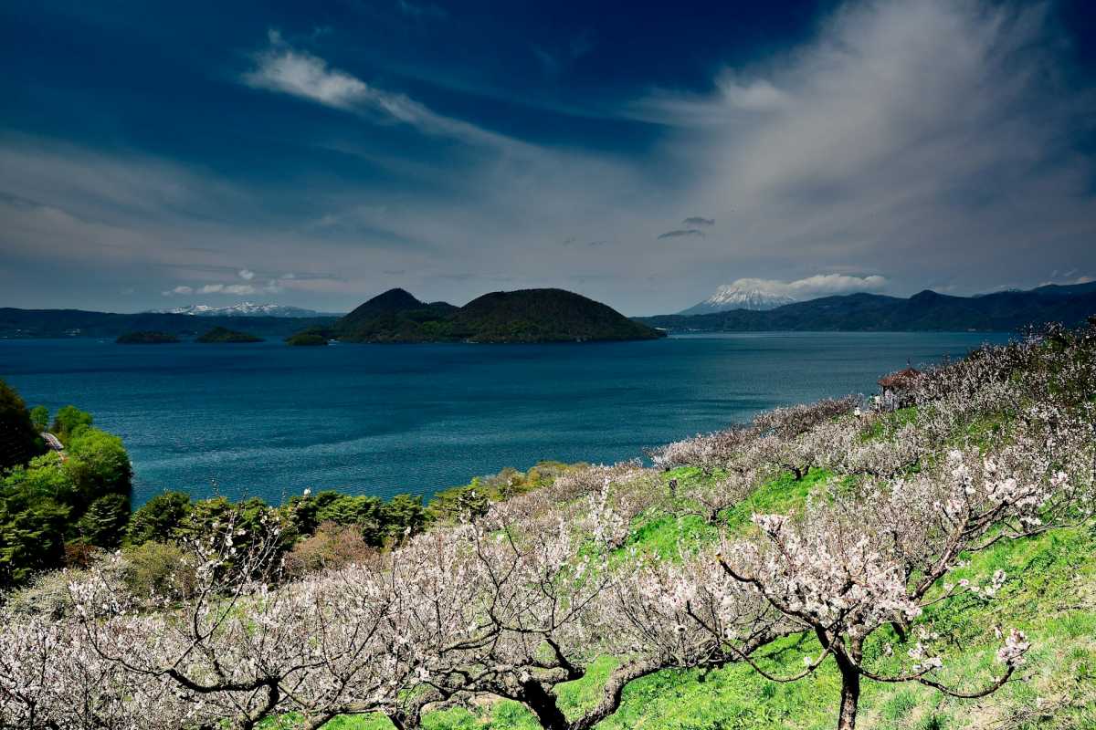 近場の北海道旅行 / 写真=unsplash@Freezer