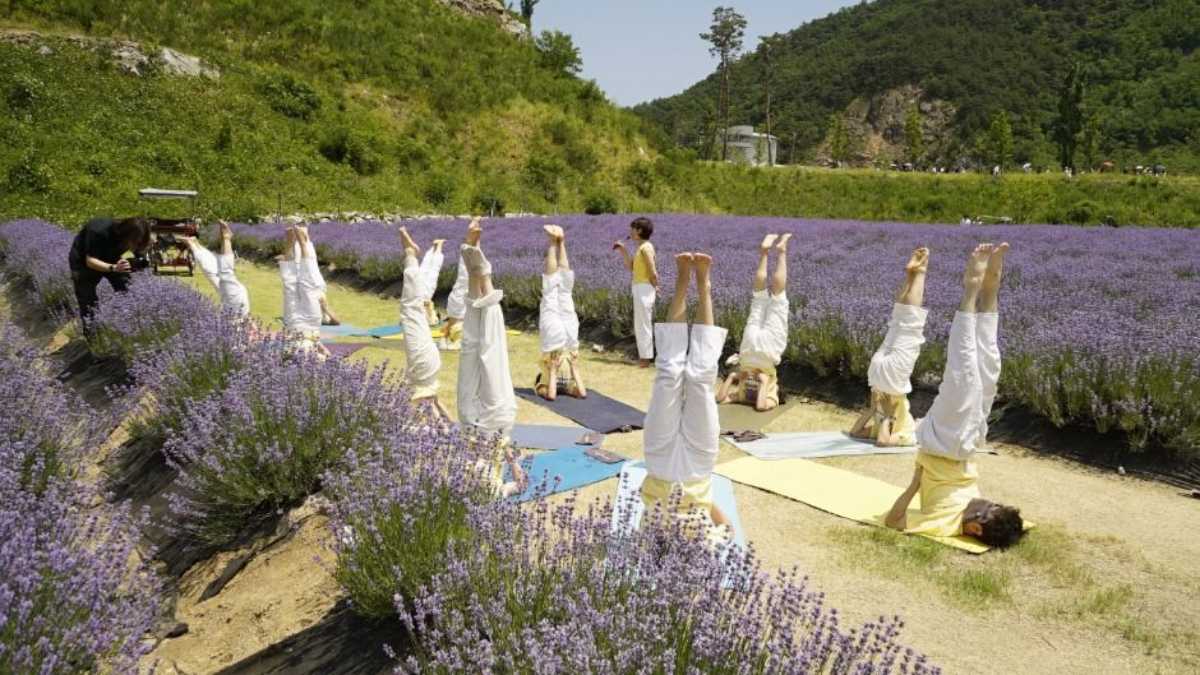 写真=韓国観光コンテンツラボ