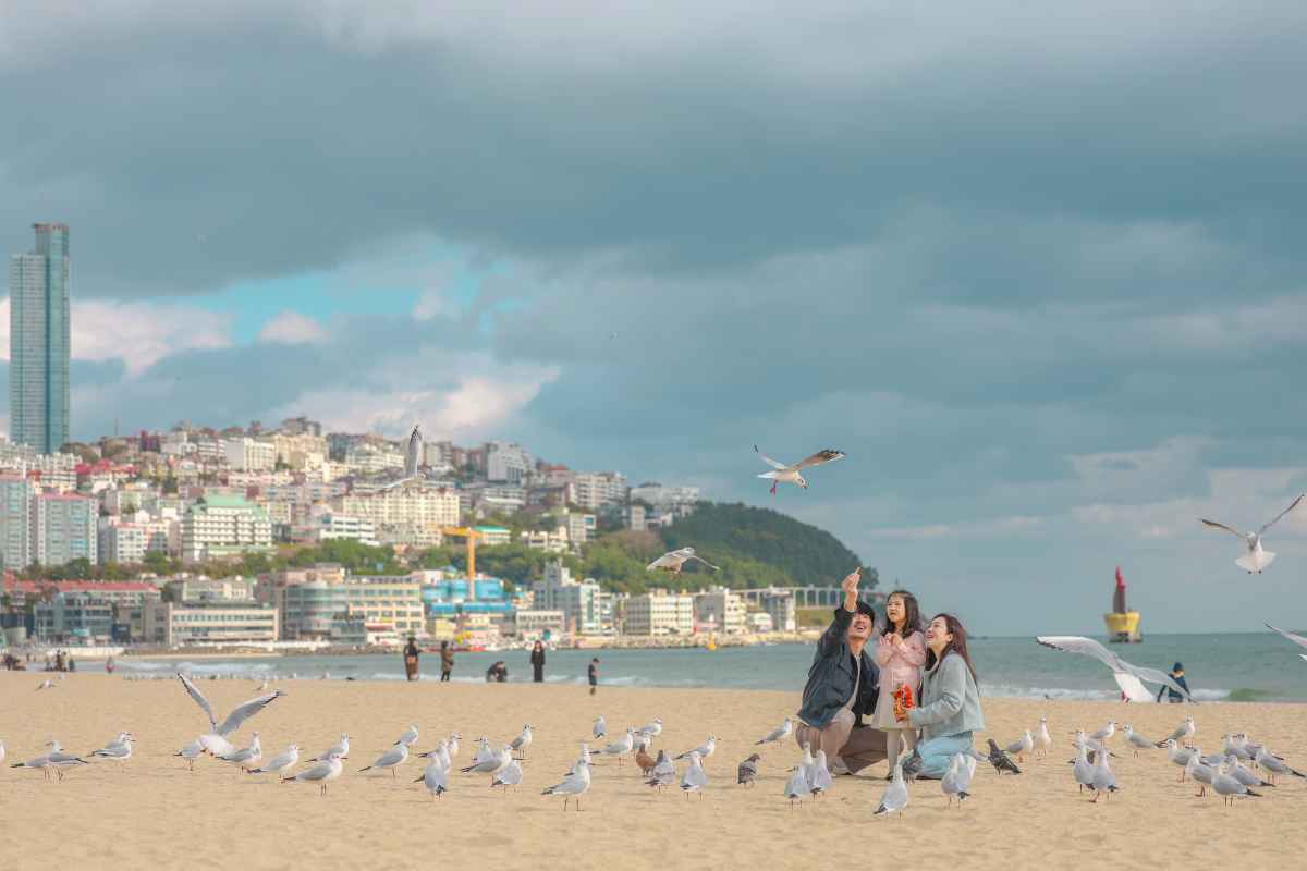서울병