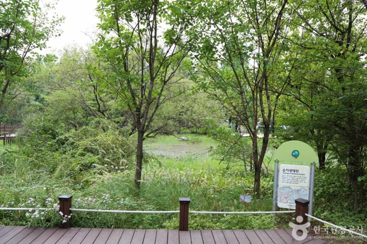 オサン・ムルヒャンギ樹木園／写真=韓国観光コンテンツラボ
