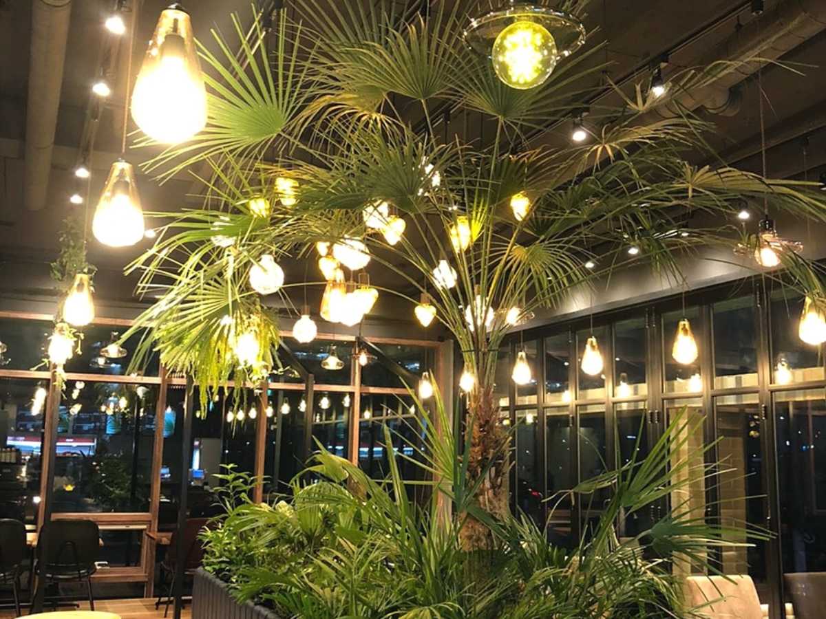 富川湖水植物園スピア／写真=韓国観光コンテンツラボ