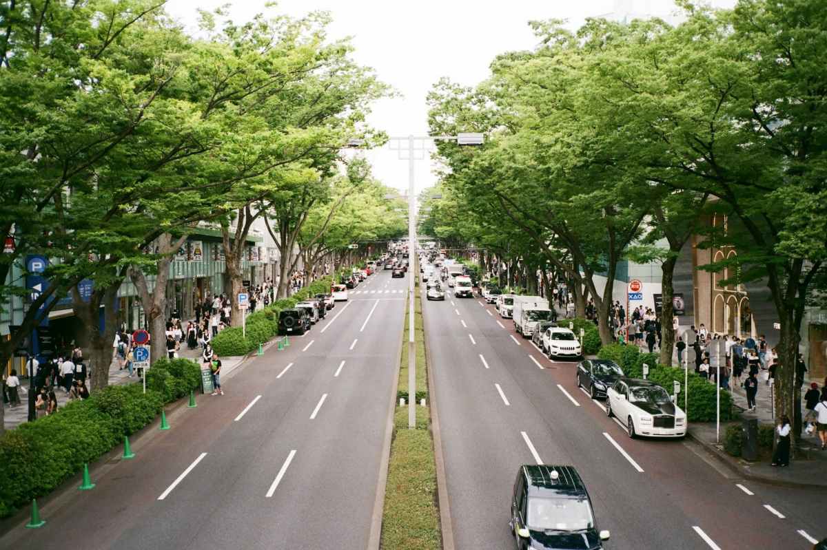 Omotesando